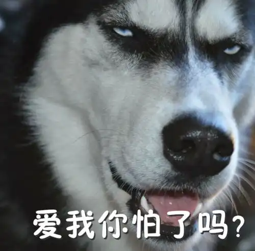 那个火遍朋友圈的单身狗,终终终终终终终于结婚了
