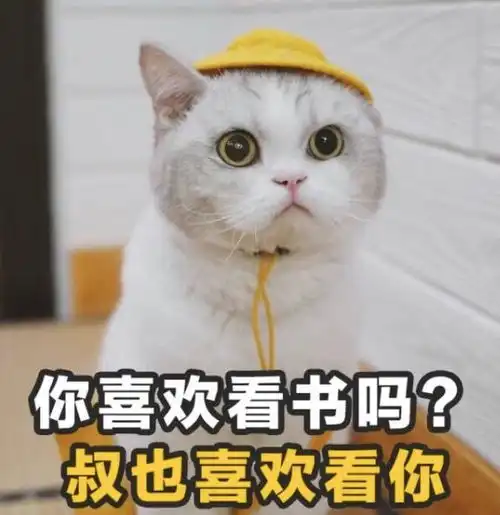 花露水遇见鸡尾酒,这波操作让网友直呼过瘾风油精表示也想参加
