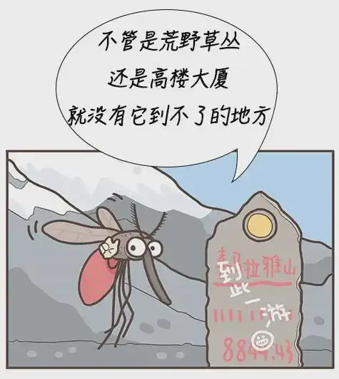 两大硬核防蚊招数,告别半夜打蚊子
