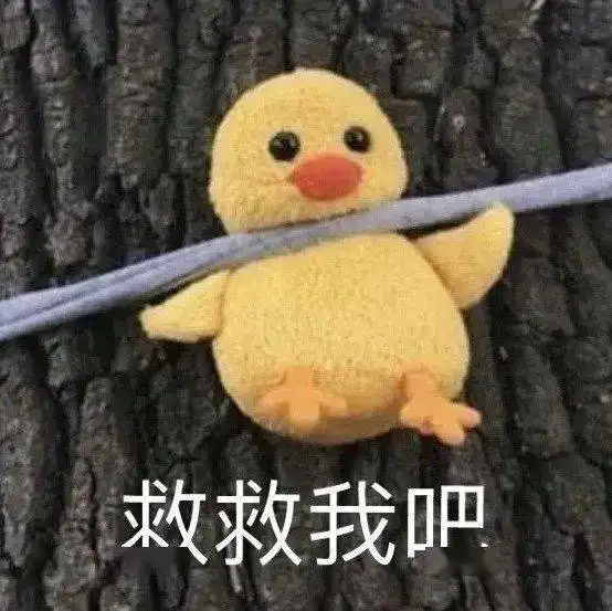 那些好笑又无语的冷笑话哈哈哈一下子给爷整不会了
