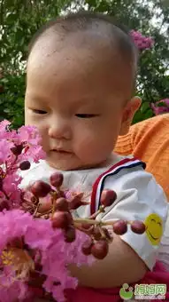 宝宝有趣的图片生日2013年11月宝宝圈
