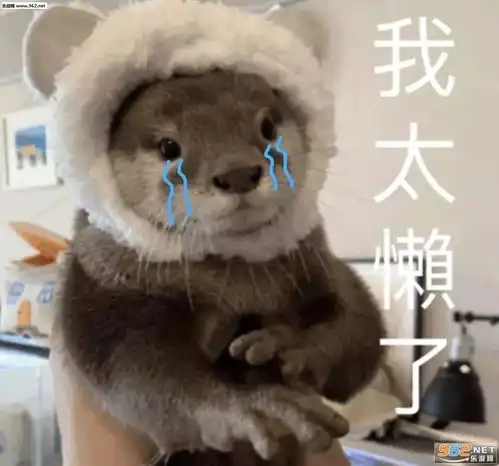 揭不开锅图片表情小猫小狗卖惨表情包下载乐游网游戏下载
