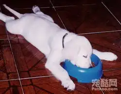 自制晚餐

