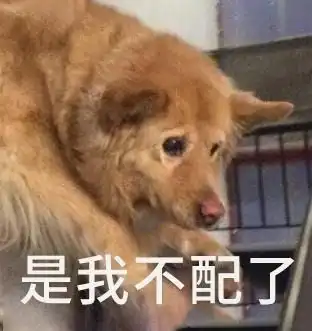 00后别劝我早睡,我不配

