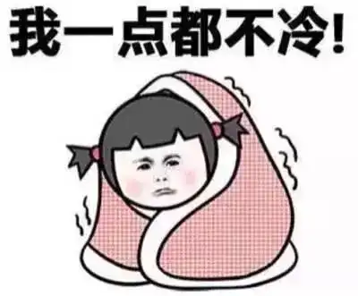 广东的冬天真的太太太太太冷了
