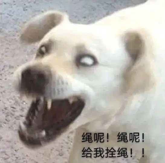再任性你家狗子就不属于你了
