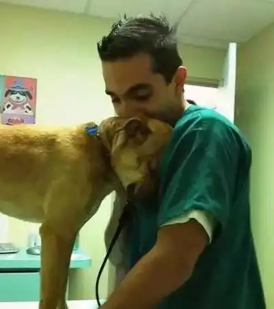 当狗狗得知被遗弃哭得像个犯错的孩子
