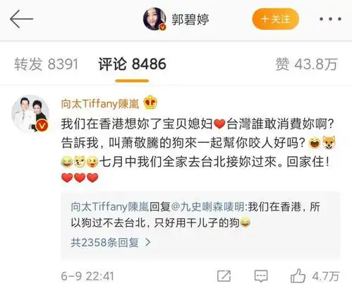 向太官宣郭碧婷怀孕,向佐母子长篇大论,郭却只回个表情包
