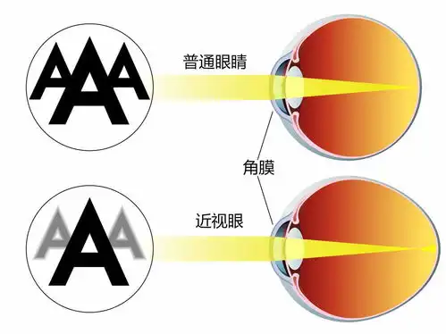 龙达聊哺光系列哺光仪的原理
