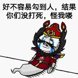 王者荣耀坑b

