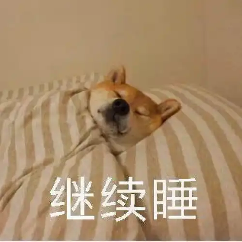 柴犬冬季打工人表情包合集不想起床,不想上班
