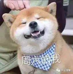 狗狗的一周表情包,今天的我,明天的我周日的我
