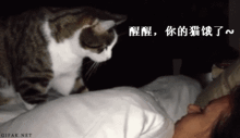 老板上门服务怎么收费28384858任你选,都包满意
