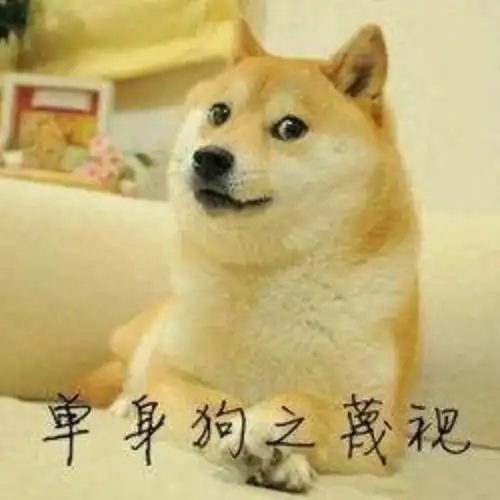 那个火遍朋友圈的单身狗,终于脱单了
