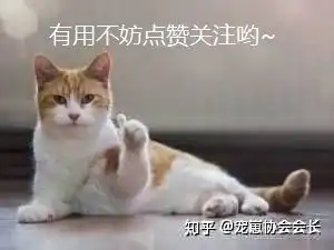 有没有静音的破壁机推荐破壁机声音太大,怕扰民
