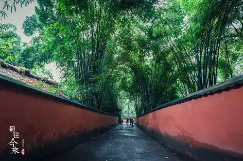 成都,翻涌侧写
