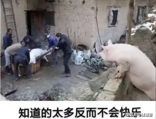 搞笑图片头发的离去是风的拉扯,还是脑袋的不挽留
