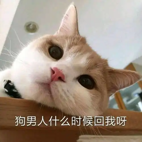 搞笑表情包图片快出来一起玩
