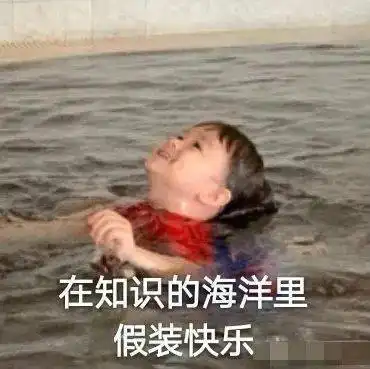 论我是如何一边摸鱼一边肝完论文
