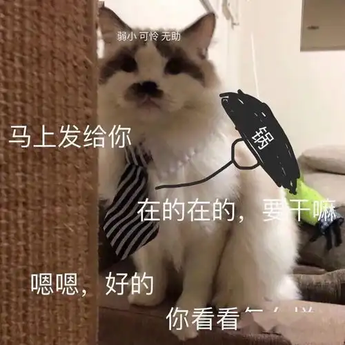 只有社畜才会懂的表情包每一张都是人间真实
