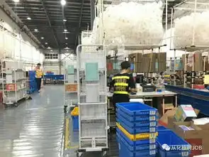 附图双十一高峰投入100名临时扫码分拣员,轻松
