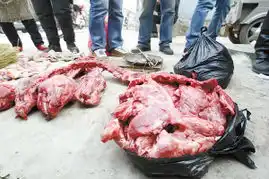 病死小猪整形后变羊肉
