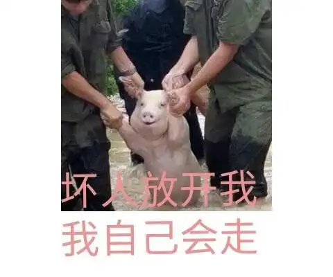 一组笑出眼泪的搞笑表情包,原来图片配字还能这么玩,涨见识了
