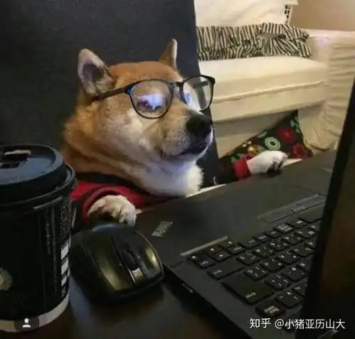 网红saya确定不是傻呀殴打孕妇何时被追责
