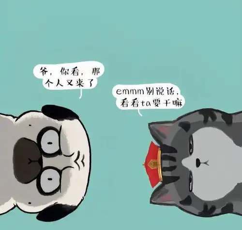花枝招展没有局,拖鞋背心遇情敌又皮又欠揍的搞笑句子
