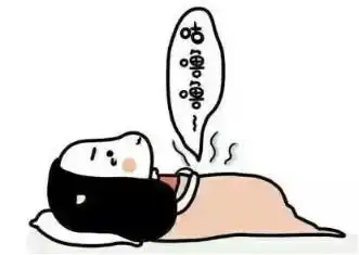 健康减脂,到底该怎么吃
