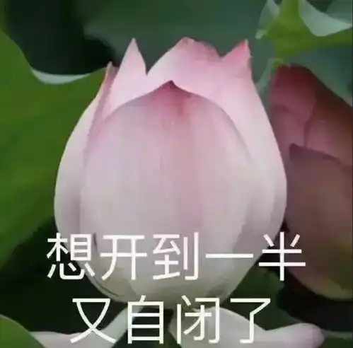 emmm,怎么不算缺钱呢
