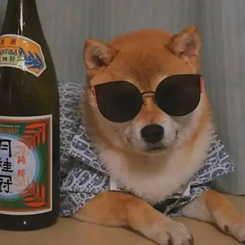 一组有味道的头像,你敢用吗
