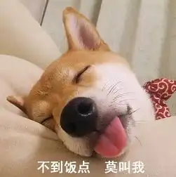 有只非常闹腾且精力旺盛的狗子是种什么体验
