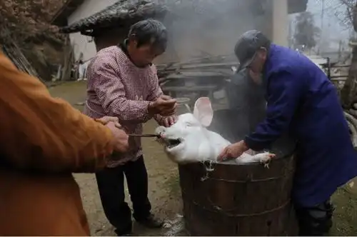 消失的猪肉佬,月入过万年轻人不肯干
