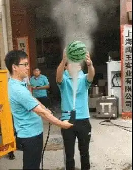搞笑gif估计鱼是嫌水里太闷了,出来凉快凉快
