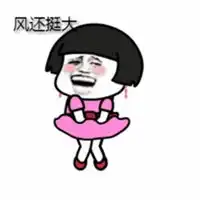 表示风大的图片今天风太大了搞笑图片微信头像图片大全
