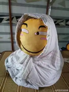 滑稽表情搞笑图片完美cos这个抱枕有毒
