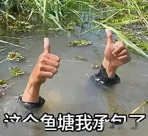 水产养殖中乳酸菌的大作用这些你必须要知道,可别用错了
