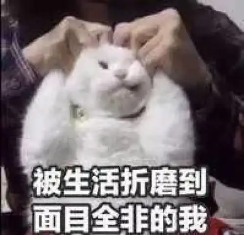 英语不好到底有多可怕真的会笑出人命啊
