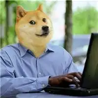 柴犬doge高清头像微信头像图片大全
