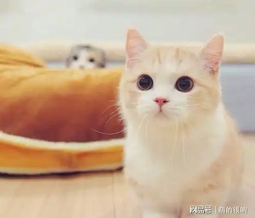 金句频出的经典搞笑句子,轻松幽默,让你开心一整天
