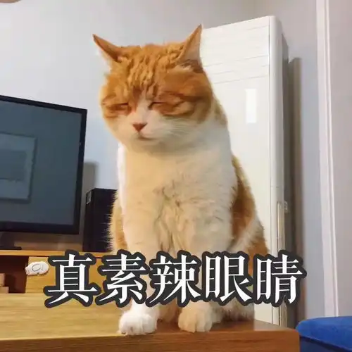 华晨宇快跑,张碧晨带着孩子复仇来了
