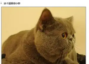 搞笑动态图片
