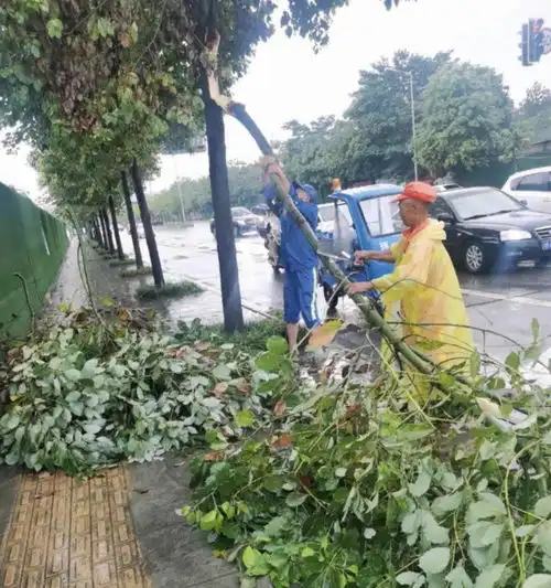 应对大风暴雨天气成都武侯环卫启动应急预案
