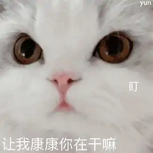 表情包你们先打,我吃完饭就来
