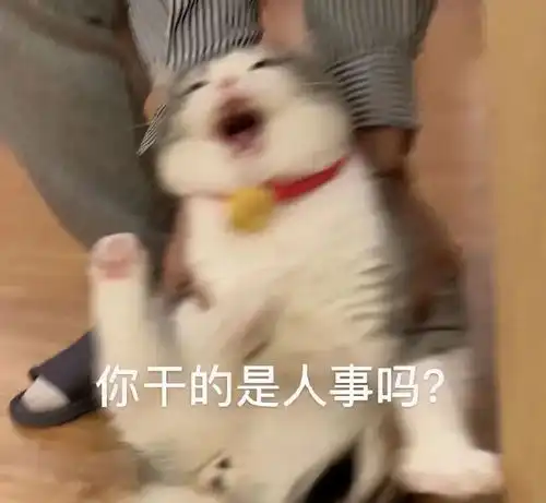 背景图搞怪表情包
