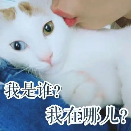 春节过后不想上班的图片带字2018我是谁我在哪儿

