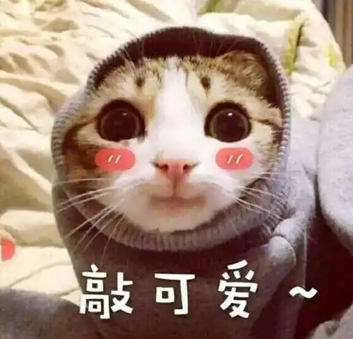 拿来吧你表情包可爱拜年