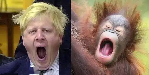 英国首相鲍里斯有多幽默
