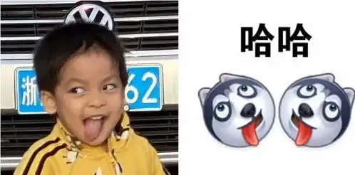 李佳航儿子撞脸二哈,完美遗传爸爸的搞笑气质,表情萌萌哒
